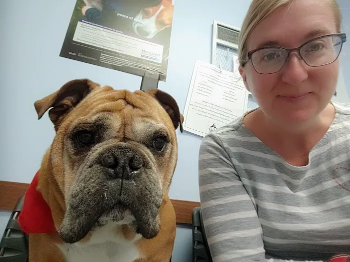 Clearfork Veterinary Hospital 7