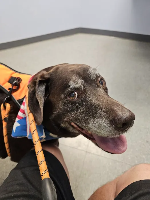 Clearfork Veterinary Hospital 8