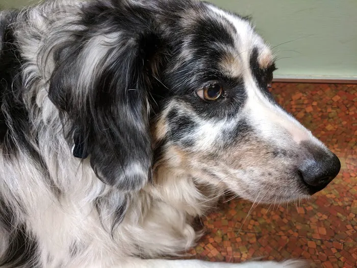 Byland Animal Hospital 8
