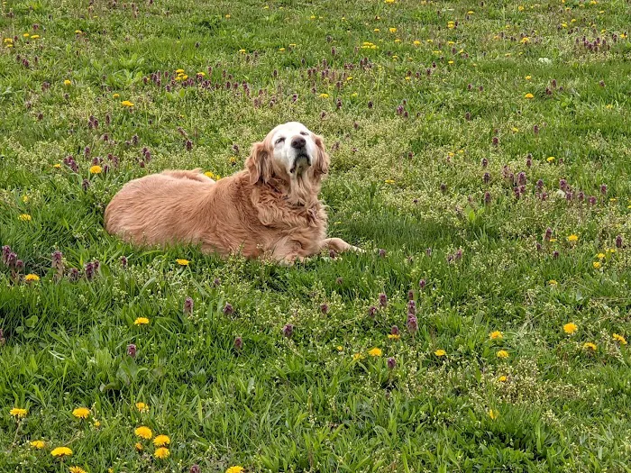 Byland Animal Hospital 6