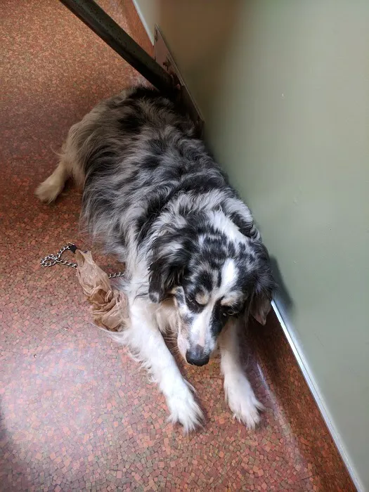 Byland Animal Hospital 3