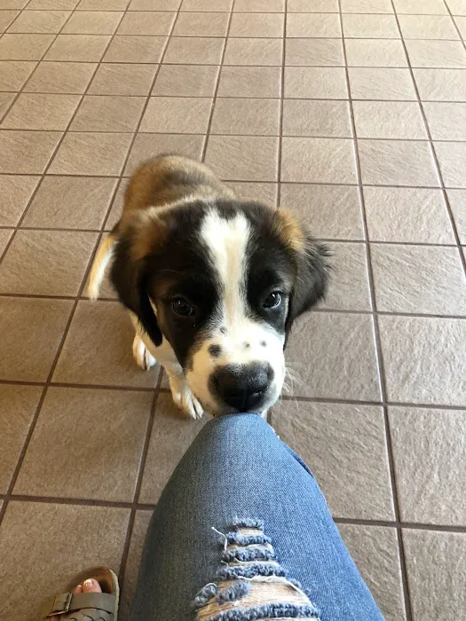VCA Spooner Veterinary Hospital 12