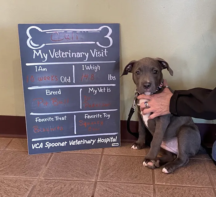 VCA Spooner Veterinary Hospital 12