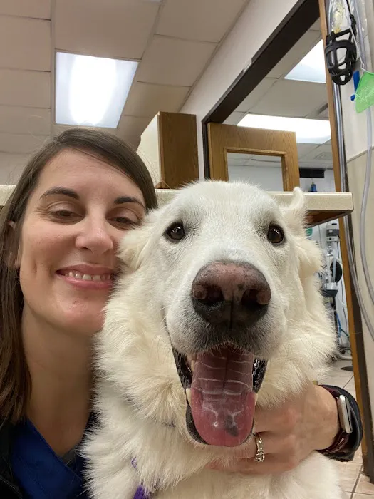 VCA Spooner Veterinary Hospital 12