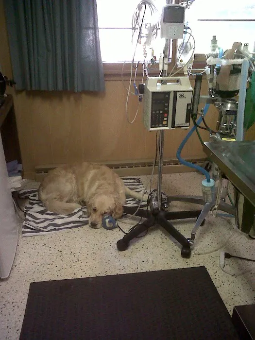Dr. Reiter's Veterinary Clinic 9