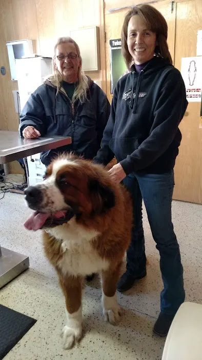 Dr. Reiter's Veterinary Clinic 4