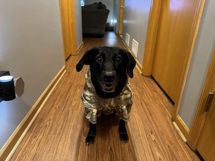 Wild River Veterinary Clinic 12