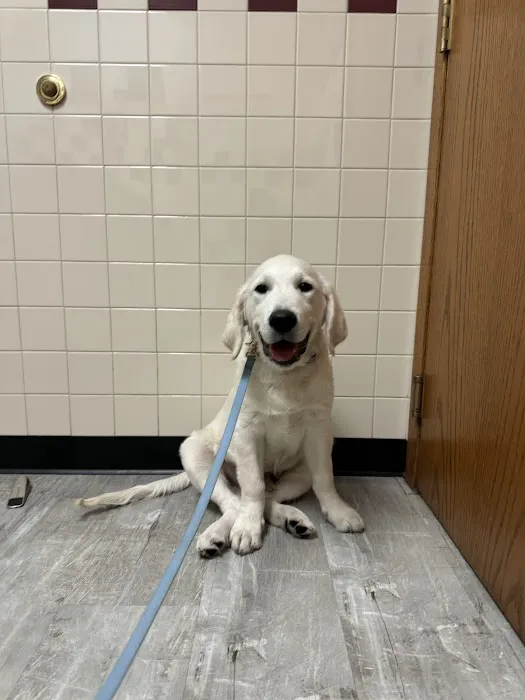 Pine City Animal Hospital 8