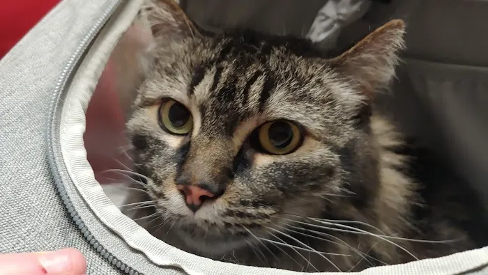 Pine City Animal Hospital 6