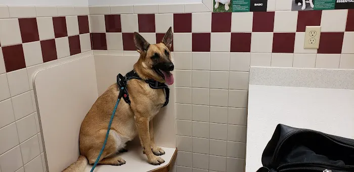 Pine City Animal Hospital 4