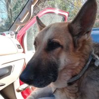 Hinckley Veterinary Clinic ico