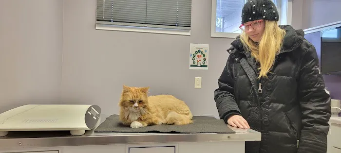 Twin Pines Veterinary Clinic and Boarding 12
