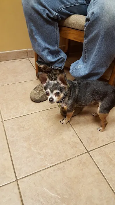Becker Veterinary Clinic 12