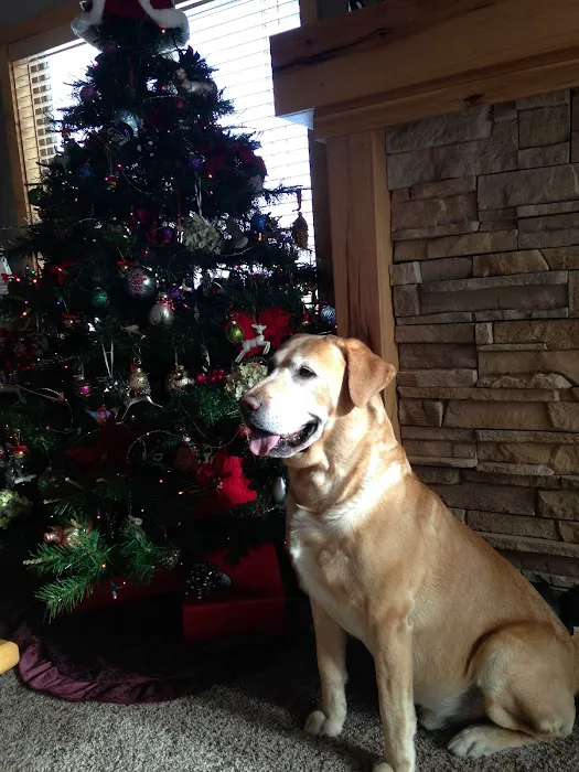 Becker Veterinary Clinic 12