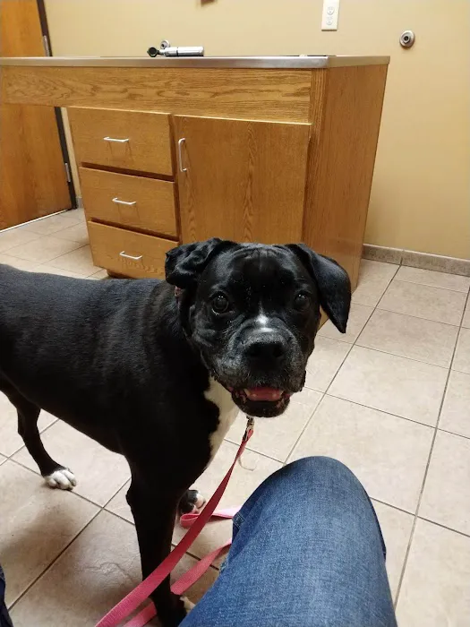 Becker Veterinary Clinic 12