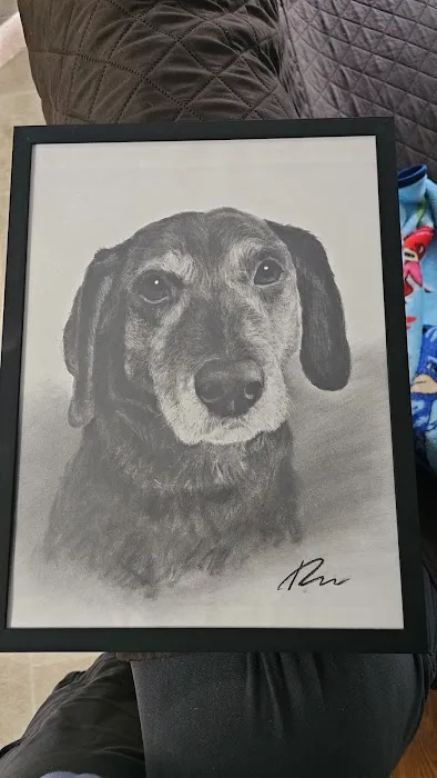 All Paws Vet Clinic 12