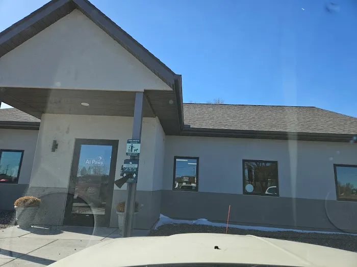 All Paws Vet Clinic 12