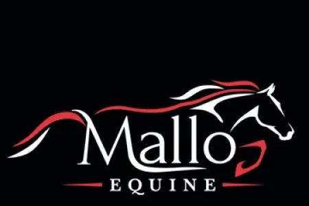 Mallo Equine