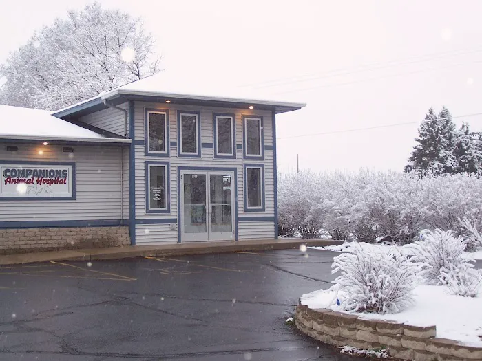 Companions Animal Hospital 3