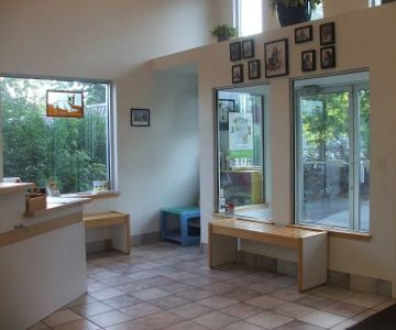 Companions Animal Hospital