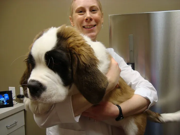 Pine Cone Pet Hospital 1
