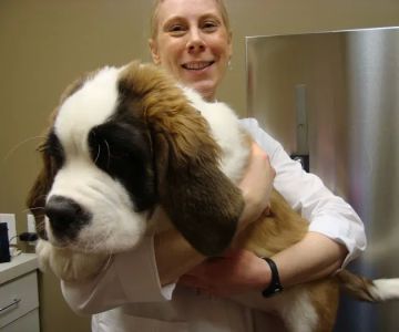 Pine Cone Pet Hospital