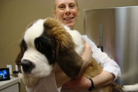 Pine Cone Pet Hospital