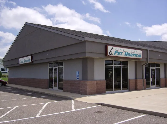 Pine Cone Pet Hospital 3