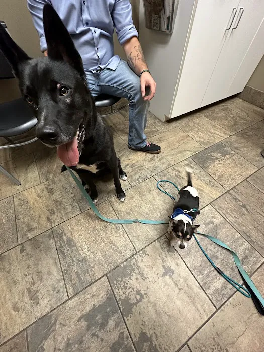 Pine Cone Pet Hospital 8