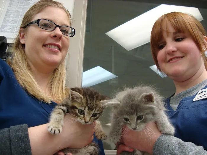 Pine Cone Pet Hospital 10