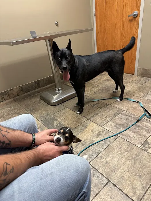 Pine Cone Pet Hospital 5