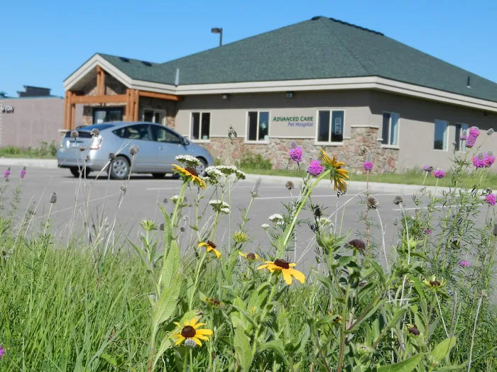 Advanced Care Pet Hospital 1
