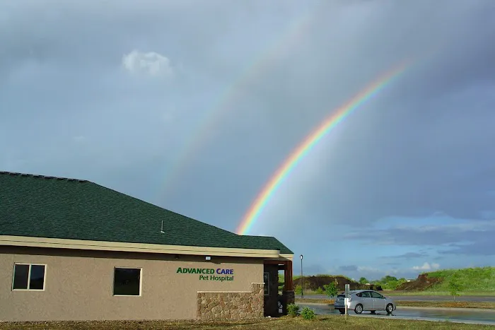 Advanced Care Pet Hospital 5