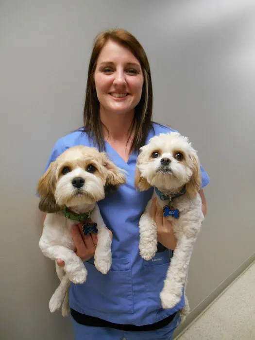 Granite City Pet Hospital 10