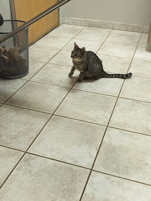 Granite City Pet Hospital 4