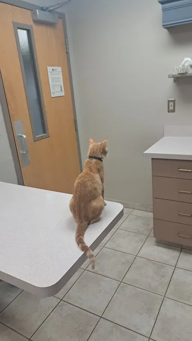 Granite City Pet Hospital 5