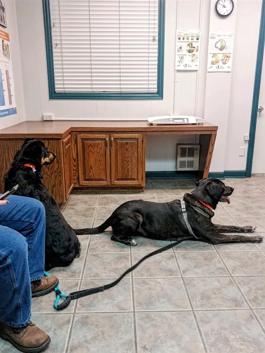 Rice Veterinary Clinic 10