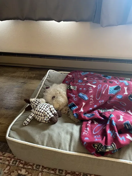 BluePearl Pet Hospital 1