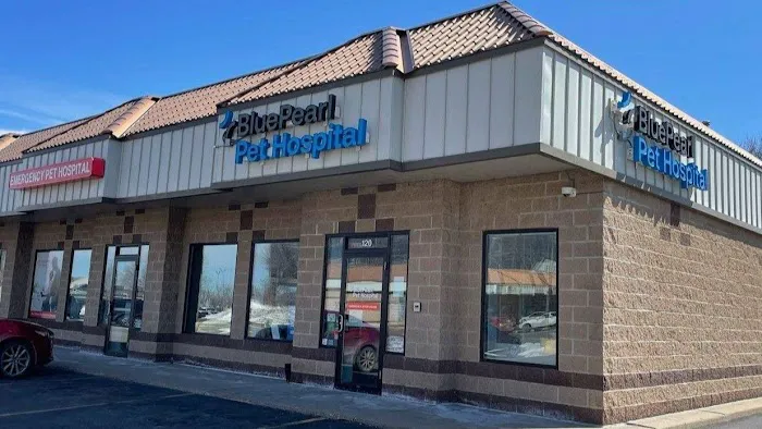 BluePearl Pet Hospital 10