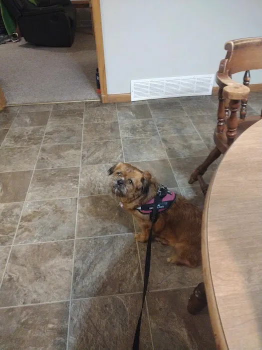 Waite Park Veterinary Hospital 4