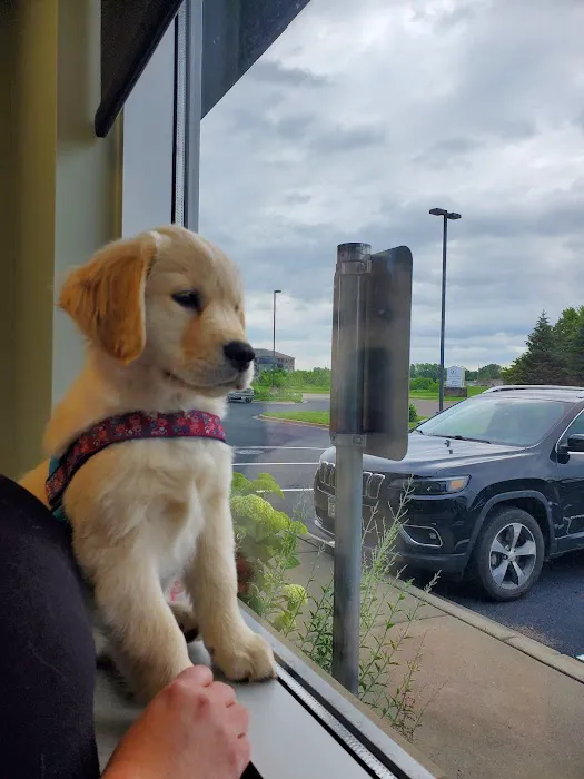Monticello Pet Hospital 12