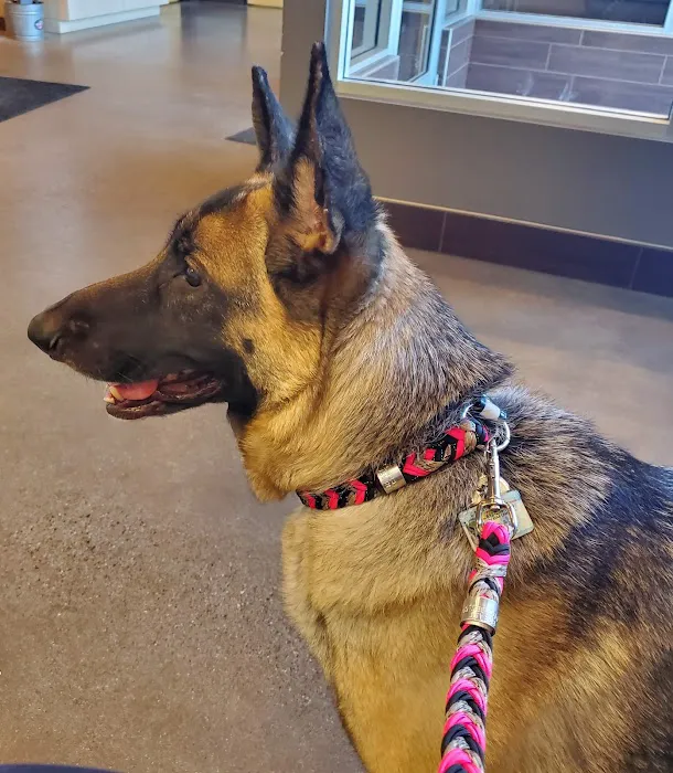 Monticello Pet Hospital 12
