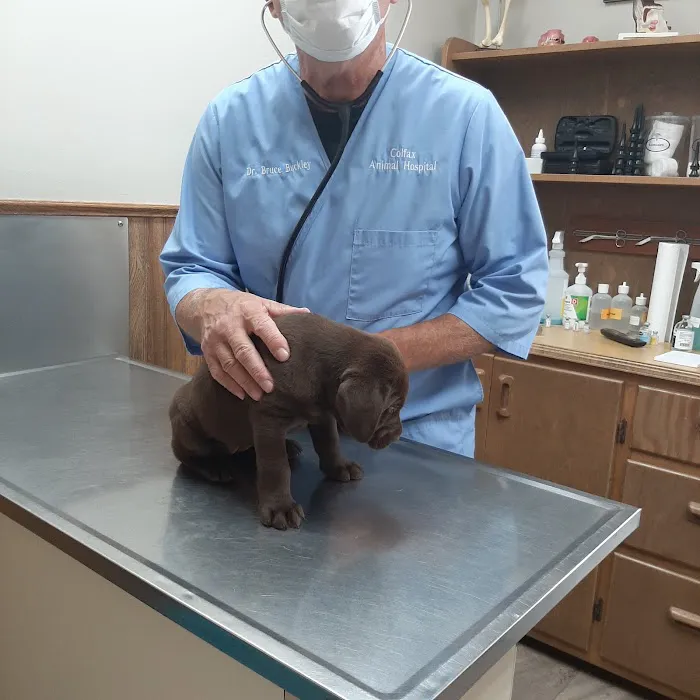 Colfax Animal Hospital 12