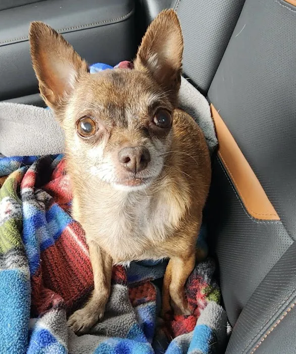 Colfax Animal Hospital 12