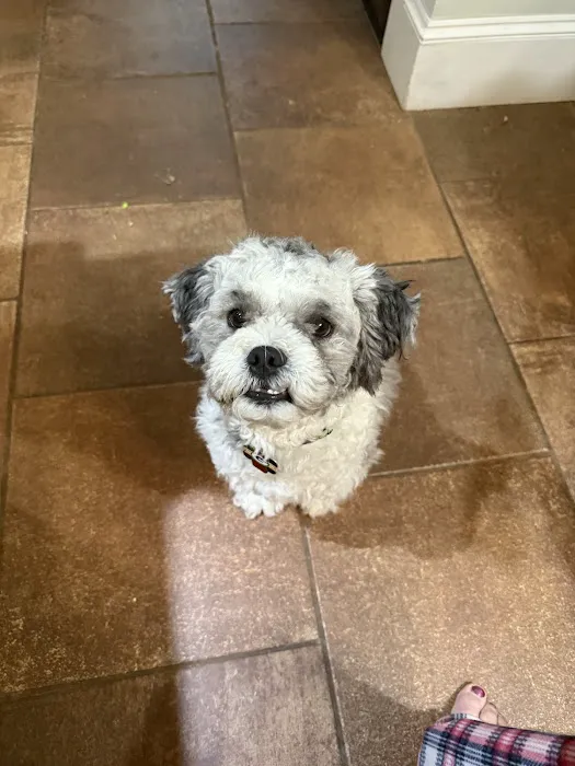 Colfax Animal Hospital 12