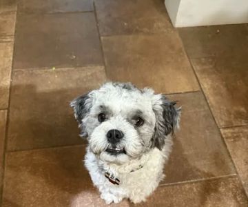 Colfax Animal Hospital