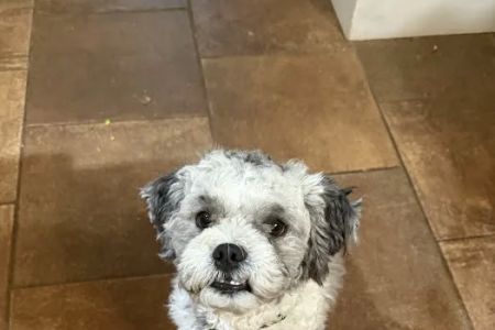 Colfax Animal Hospital