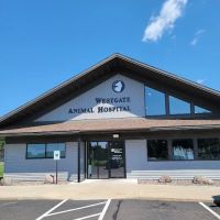 Westgate Animal Hospital Ltd: Mcdougall Margaret DVM ico