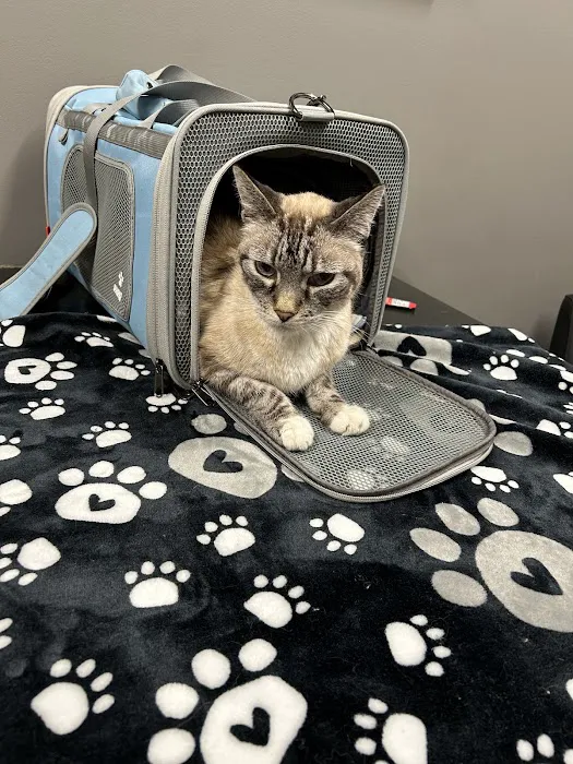 Westgate Animal Hospital Inc 12