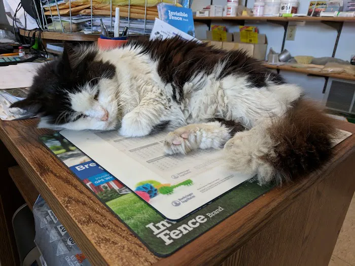 Tri-County Veterinary Clinic 4
